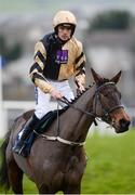 29 December 2016; Briar Hill, with Ruby Walsh up, make their way back to the stables after falling during the Neville Hotels Novice Steeplechase during day four of the Leopardstown Christmas Festival in Leopardstown, Dublin. Photo by Eóin Noonan/Sportsfile