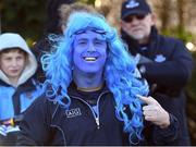 15 January 2017; Dublin supporter Shane Peppard, from Clondalkin, during the Bord na Mona Walsh Cup Group 1 Round 3 match between Wexford and Dublin at St Patrick's Park in Enniscorthy, Co Wexford. Photo by Matt Browne/Sportsfile