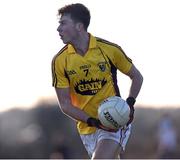 15 January 2017; Eoghan Nolan of Wexford during the Bord na Mona Walsh Cup Group 1 Round 3 match between Wexford and Dublin at St Patrick's Park in Enniscorthy, Co Wexford. Photo by Matt Browne/Sportsfile