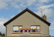 11 June 2011; A local resident shows their support for the Wexford team. Leinster GAA Hurling Senior Championship Semi-Final, Wexford v Kilkenny, Wexford Park, Wexford. Picture credit: Pat Murphy / SPORTSFILE