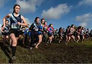 7 February 2017; A general view of the start of the Senior Girls 2000m race during the Irish Life Health Connacht Schools Cross Country at Calry Community Park in Sligo. Photo by David Maher/Sportsfile