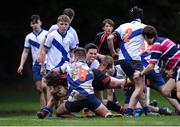 7 February 2017; Daniel Fives of Wesley College goes over to score his sides first try despite the attentions of Daniel Molloy of St Andrew's College during the Bank of Ireland Leinster Schools Junior Cup Round 1 match between Wesley College and St Andrew’s College at Anglesea Road in Dublin. Photo by Sam Barnes/Sportsfile