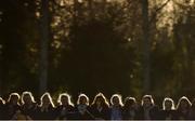 8 February 2017; General view of Temple Carrig supporters during the Bank of Ireland Leinster Schools Junior Cup Round 1 match between Belvedere College and Temple Carrig at Coolmine RFC in Coolmine, Dublin. Photo by David Maher/Sportsfile