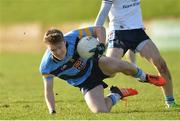 8 February 2017; Conor McCarthy of UCD in action during the Independent.ie HE GAA Sigerson Cup Quarter-Final match between Ulster University and UCD at Jordanstown in Belfast. Photo by Oliver McVeigh/Sportsfile
