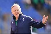 11 February 2017; Ireland head coach Joe Schmidt ahead of the RBS Six Nations Rugby Championship match between Italy and Ireland at the Stadio Olimpico in Rome, Italy. Photo by Ramsey Cardy/Sportsfile