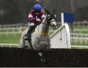 12 February 2017; Disko, with Sean Flanagan up, jump the last on their way to winning the Flogas Novice Steeplechase at Leopardstown. Leopardstown, Co. Dublin.  Photo by Cody Glenn/Sportsfile