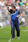 24 July 2011; Waterford manager Davy Fitzgerald during the game. GAA Hurling All-Ireland Senior Championship Quarter Final, Waterford v Galway, Semple Stadium, Thurles, Co. Tipperary. Picture credit: Diarmuid Greene / SPORTSFILE