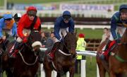 13 March 2002; Colonel Braxton, centre, with Norman Williamson up in The Royal & Sunalliance Steeple Chase during Day Two of the Cheltenham Racing Festival at Prestbury Park in Cheltenham, England. Photo by Matt Browne/Sportsfile