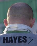 19 March 2002; John Hayes during an Ireland rugby team training session at Dr Hickey Park in Greystones, Wicklow. Photo by Matt Browne/Sportsfile