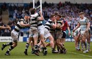 17 March 2017; Belvedere College players celebrate their side's victory at the final whistle during the Bank of Ireland Leinster Schools Senior Cup Final match between Belvedere College and Blackrock College at RDS Arena in Dublin. Photo by Stephen McCarthy/Sportsfile