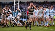 17 March 2017; Conor Doran of Belvedere College celebrates his side's victory at the final whistle during the Bank of Ireland Leinster Schools Senior Cup Final match between Belvedere College and Blackrock College at RDS Arena in Dublin. Photo by Stephen McCarthy/Sportsfile