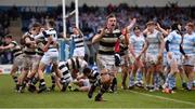 17 March 2017; Belvedere College's Conor Doran celebrates his side's victory at the final whistle during the Bank of Ireland Leinster Schools Senior Cup Final match between Belvedere College and Blackrock College at RDS Arena in Dublin. Photo by Stephen McCarthy/Sportsfile