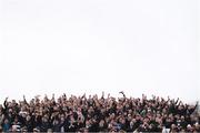 17 March 2017; Belvedere College supporters celebrate following the Bank of Ireland Leinster Schools Senior Cup Final match between Belvedere College and Blackrock College at RDS Arena in Dublin. Photo by Stephen McCarthy/Sportsfile