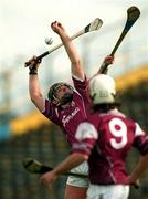 14 April 2002; Joe Rabbitte of Galway during the Allianz National Hurling League Quarter-Final match between Galway and Tipperary at Semple Stadium in Thurles, Tipperary. Photo by Brendan Moran/Sportsfile