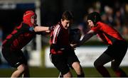 25 March 2017; Action from the Bank of Ireland Half-Time Minis featuring New Ross RFC and St Brigids RFC at the Guinness PRO12 Round 18 game between Leinster and Cardiff Blues at the RDS Arena in Ballsbridge, Dublin. Photo by Ramsey Cardy/Sportsfile