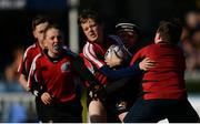 25 March 2017; Action from the Bank of Ireland Half-Time Minis featuring New Ross RFC and St Brigids RFC at the Guinness PRO12 Round 18 game between Leinster and Cardiff Blues at the RDS Arena in Ballsbridge, Dublin. Photo by Ramsey Cardy/Sportsfile