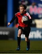 25 March 2017; Action from the Bank of Ireland Half-Time Minis featuring New Ross RFC and St Brigids RFC at the Guinness PRO12 Round 18 game between Leinster and Cardiff Blues at the RDS Arena in Ballsbridge, Dublin. Photo by Ramsey Cardy/Sportsfile