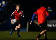 25 March 2017; Action from the Bank of Ireland Half-Time Minis featuring New Ross RFC and St Brigids RFC at the Guinness PRO12 Round 18 game between Leinster and Cardiff Blues at the RDS Arena in Ballsbridge, Dublin. Photo by Ramsey Cardy/Sportsfile