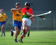 14 April 2002; Thomas Walsh of Carlow in action against Tom Reddington of Roscommon during the Allianz National Hurling League Division 2 Relegation Play-Off match between Carlow and Roscommon at Cusack Park in Mullingar, Westmeath. Photo by Aoife Rice/Sportsfile