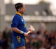 14 April 2002; Adrian Tully, Rosommon goalkeeper Adrian Tully during the Allianz National Hurling League Division 2 Relegation Play-Off match between Carlow and Roscommon at Cusack Park in Mullingar, Westmeath. Photo by Aoife Rice/Sportsfile
