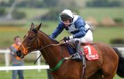 25 April 2002; Risk of Thunder, with John McNamara up, passes the finishing line to win the Quinns of Baltinglass Steeplechase for the La Touche Cup, at Punchestown Racecourse in Naas, Kildare. Photo by Pat Murphy/Sportsfile