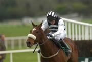 25 April 2002; Moscow Flyer, with Barry Geraghty up, on his way to winning the Swordlestown Cup Novice Steeplechase at Punchestown Racecourse in Naas, Kildare. Photo by Aoife Rice/Sportsfile