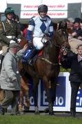 26 April 2002; Victorious jockey Ruby Walsh after winning The Emo Oil Champion Hurdle on Davenport Milenium at Punchestown Racecourse in Naas, Kildare. Photo by Aoife Rice/Sportsfile