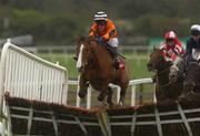 27 April 2002; Vanilla Man, with Robert Power up, clears the last on their way to winning the Kilcullen Hurdle at Punchestown Racecourse in Naas, Kildare. Photo by Damien Eagers/Sportsfile