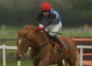 27 April 2002; Blushing Sand with Martin Mooney up, at Punchestown Racecourse in Naas, Kildare. Photo by Damien Eagers/Sportsfile