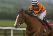 27 April 2002; Vanilla Man, with Robert Power up, on the way to winning The Kilcullen Hurdle at Punchestown Racecourse in Naas, Kildare. Photo by Damien Eagers/Sportsfile