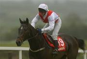 27 April 2002; Lucky Leitrim, with John Butler up, at Punchestown Racecourse in Naas, Kildare. Photo by Damien Eagers/Sportsfile