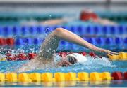 9 April 2017; Nathan Turner of Aer Lingus Swim Club, Co. Dublin, on his way to winning the Men's 800m Freestyle Final during the 2017 Irish Open Swimming Championships at the National Aquatic Centre in Dublin. Photo by Seb Daly/Sportsfile