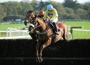 13 October 2011; Lucky William, with Bryan Cooper up, jumps the last on their way to winning the Buck House Novice Steeplechase from second place Whodoyouthink, with Andrew McNamara up. Punchestown Racecourse, Punchestown, Co. Kildare. Picture credit: Matt Browne / SPORTSFILE