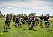 2 November 2011; Ireland players warm up before a light training session in advance of the 2nd International Rules Series 2011 Test, Southport Sharks Oval, Southport, Gold Coast, Australia. Picture credit: Ray McManus / SPORTSFILE