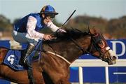 6 November 2011; Enchanted Evening, with Pat Shanahan up, on their way to winning The Knockaire Stakes. Leopardstown - 2011 Flat Season Finale Day, Leopardstown Racecourse, Dublin. Picture credit: Stephen McCarthy / SPORTSFILE