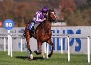 6 November 2011; Twirl, with Seamie Heffernan up, on their way to winning The Irish Stallion Farms European Breeders Fund Fillies Madien. Leopardstown - 2011 Flat Season Finale Day, Leopardstown Racecourse, Dublin. Picture credit: Stephen McCarthy / SPORTSFILE