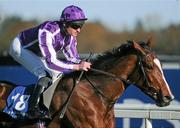 6 November 2011; Twirl, with Seamie Heffernan up, on their way to winning The Irish Stallion Farms European Breeders Fund Fillies Madien. Leopardstown - 2011 Flat Season Finale Day, Leopardstown Racecourse, Dublin. Picture credit: Stephen McCarthy / SPORTSFILE