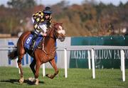 6 November 2011; Hazelivius, with Ross Coakley up, during The Irish Stallion Farms European Breeders Fund Fillies Madien. Leopardstown - 2011 Flat Season Finale Day, Leopardstown Racecourse, Dublin. Picture credit: Stephen McCarthy / SPORTSFILE