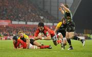 12 November 2011; Conor Murray, Munster, scores a try which was subsequently disallowed. Heineken Cup, Pool 1, Round 1, Munster v Northampton Saints, Thomond Park, Limerick. Picture credit: Diarmuid Greene / SPORTSFILE
