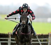 19 November 2011; One Cool Shabra, with Ger Fox up, on their way to winning the Ballymore GAA Christmas Fair and Family Fun Day Hurdle. Punchestown Racecourse, Punchestown, Co. Kildare. Picture credit: Matt Browne / SPORTSFILE