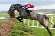 19 November 2011; Raptor, with Paul Townend up, jumps the last on their way to winning the Punchestown For Value Beginners Steeplechase. Punchestown Racecourse, Punchestown, Co. Kildare. Picture credit: Matt Browne / SPORTSFILE