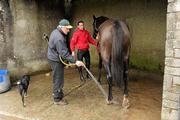 6 December 2011; Trainer Dessie Hughes washes the hooves of Magnanimity as jockey Davy Russell holds the rains after coming back from the gallops during a visit to Dessie Hughes Yard to launch the Leopardstown Christmas Festival. Dessie Hughes Yard, Osborne Lodge, The Curragh, Co. Kildare. Picture credit: Barry Cregg / SPORTSFILE