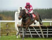 5 February 2012; Trifolium, with Davy Russell up, clears the last on their way to winning the Racing UK Moscow Flyer Novice Hurdle. Punchestown Racecourse, Punchestown, Co. Kildare. Picture credit: Pat Murphy / SPORTSFILE