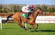 19 February 2012; Oconnells Pike, with Keith Donoghue up, on their way to winning the Follow Navan On Facebook Maiden Hurdle. Navan Racecourse, Navan, Co. Meath. Photo by Sportsfile