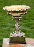 13 March 2012; A general view of the Champion Hurdle Challenge Trophy. Cheltenham Racing Festival, Prestbury Park, Cheltenham, England. Picture credit: Matt Browne / SPORTSFILE