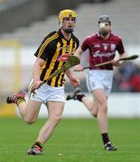 1 April 2012; Colin Fennelly, Kilkenny. Allianz Hurling League Division 1A, Round 5, Kilkenny v Galway, Nowlan Park, Kilkenny. Picture credit: Brian Lawless / SPORTSFILE