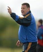 22 April 2012; Wicklow manager Casey O'Brien. Allianz Hurling League Division 2A Relegation Play-off, Wicklow v Down, Trim, Co. Meath. Photo by Sportsfile