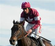 24 April 2012; Sir Des Champs, Davy Russell up, on their way to winning the Growise Champion Novice Steeplechase. Punchestown Racing Festival, Punchestown Racecourse, Punchestown, Co. Kildare. Picture credit: David Maher / SPORTSFILE