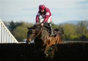 24 April 2012; Sir Des Champs, with Davy Russell up, clear the last on their way to winning the Growise Champion Novice Steeplechase. Punchestown Racing Festival, Punchestown Racecourse, Punchestown, Co. Kildare. Picture credit: Barry Cregg / SPORTSFILE