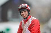 25 April 2012; Jockey Ian McCarthy after steering Shamiran to victory in the Martinstown Opportunity Series Final Handicap Hurdle. Punchestown Racecourse, Punchestown, Co. Kildare. Picture credit: Stephen McCarthy / SPORTSFILE